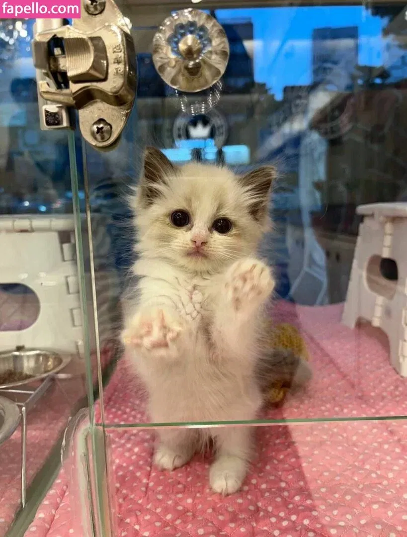 YourSmallDoll Onlyfans Photo Gallery 