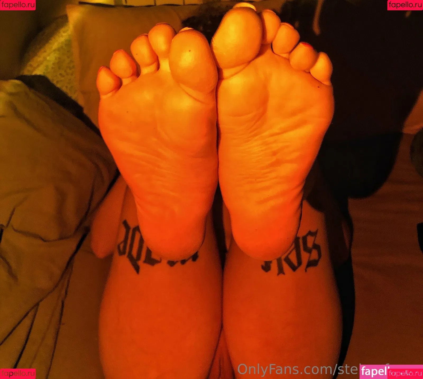 steisy_foxxx Onlyfans Photo Gallery 