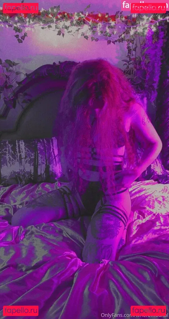 highschooldropout Onlyfans Photo Gallery 