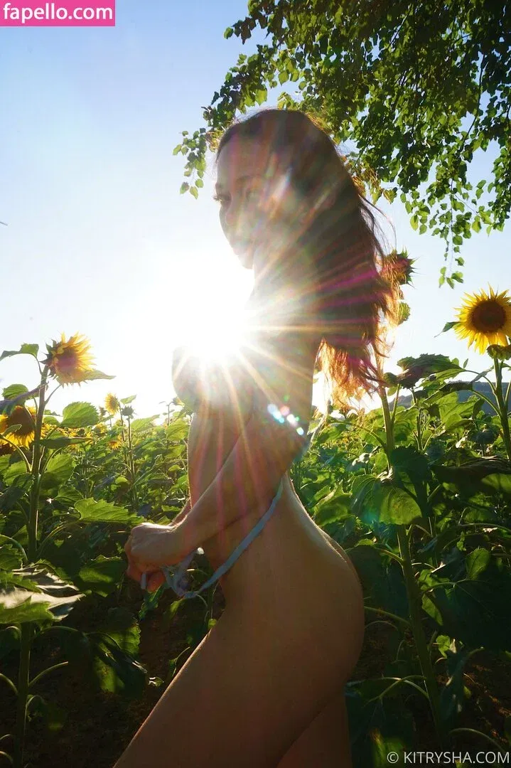 kitryshafree Onlyfans Photo Gallery 