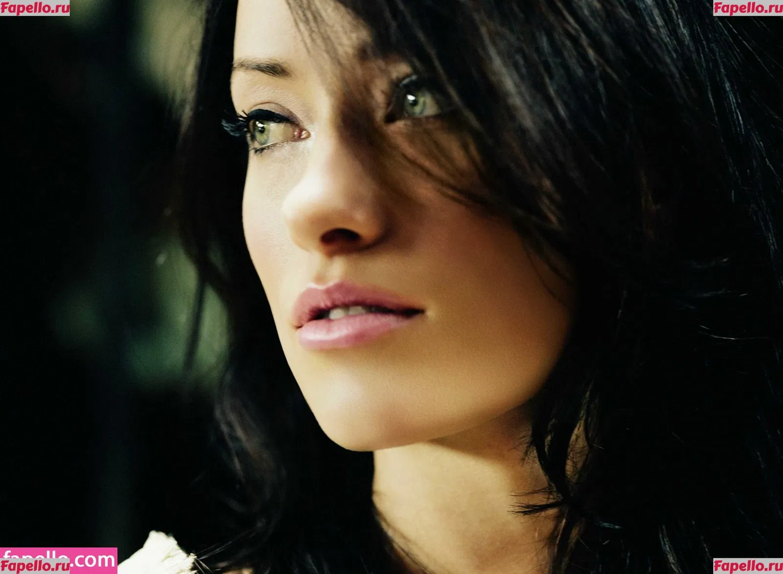 Olivia Wilde Onlyfans Photo Gallery 