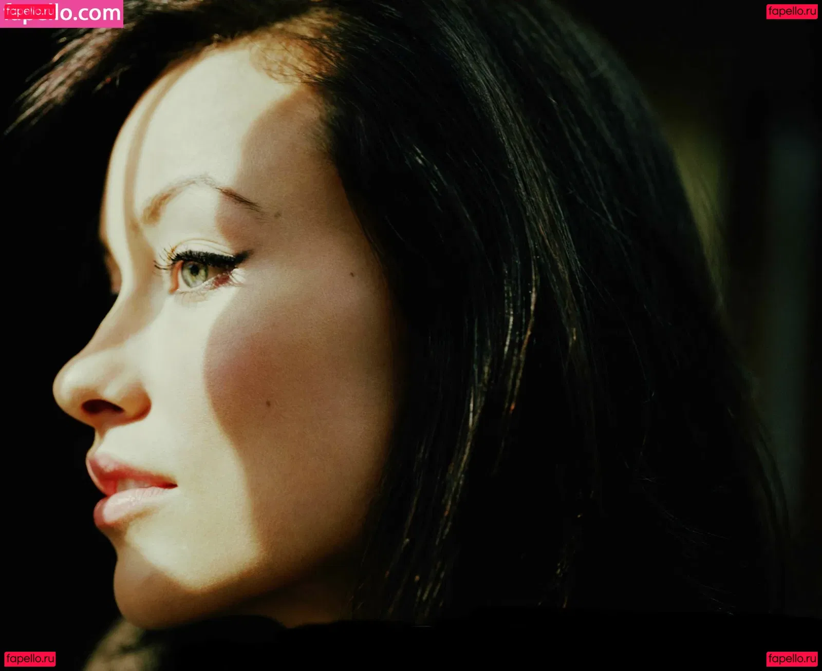 Olivia Wilde Onlyfans Photo Gallery 