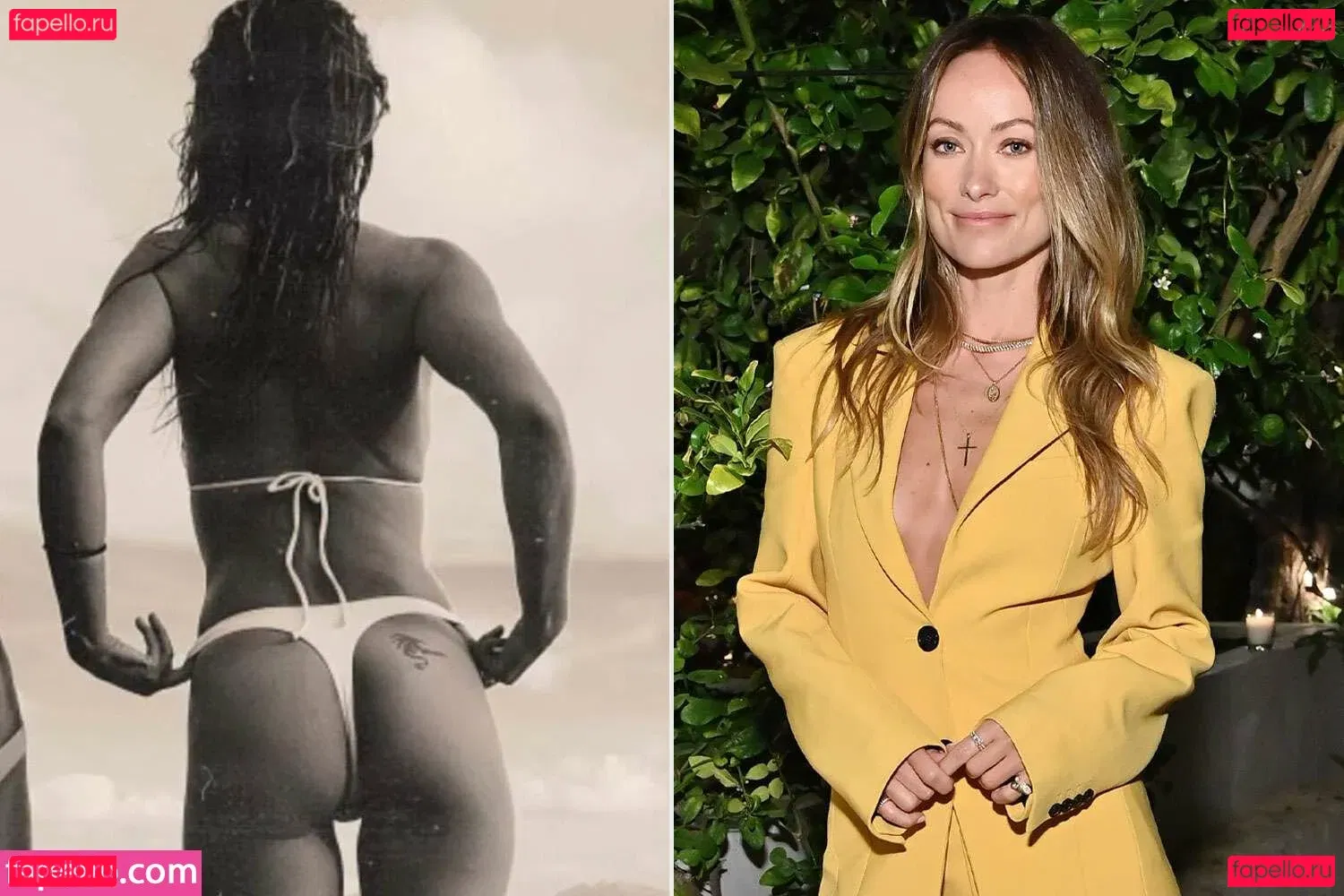 Olivia Wilde Onlyfans Photo Gallery 