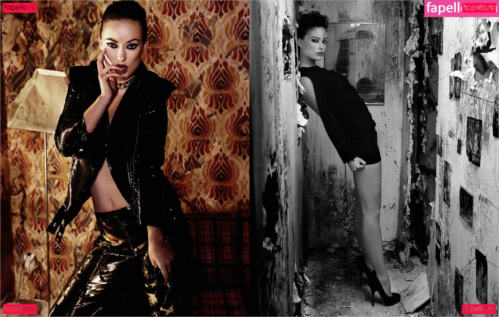 Olivia Wilde Onlyfans Photo Gallery 