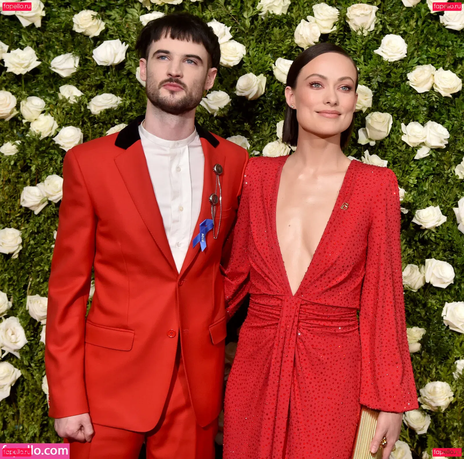 Olivia Wilde Onlyfans Photo Gallery 