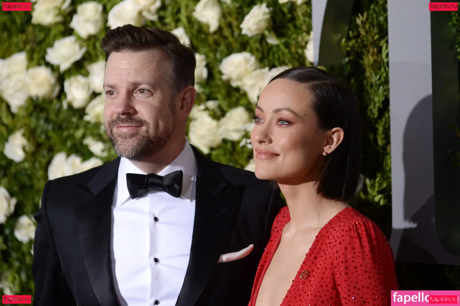 Olivia Wilde Onlyfans Photo Gallery 