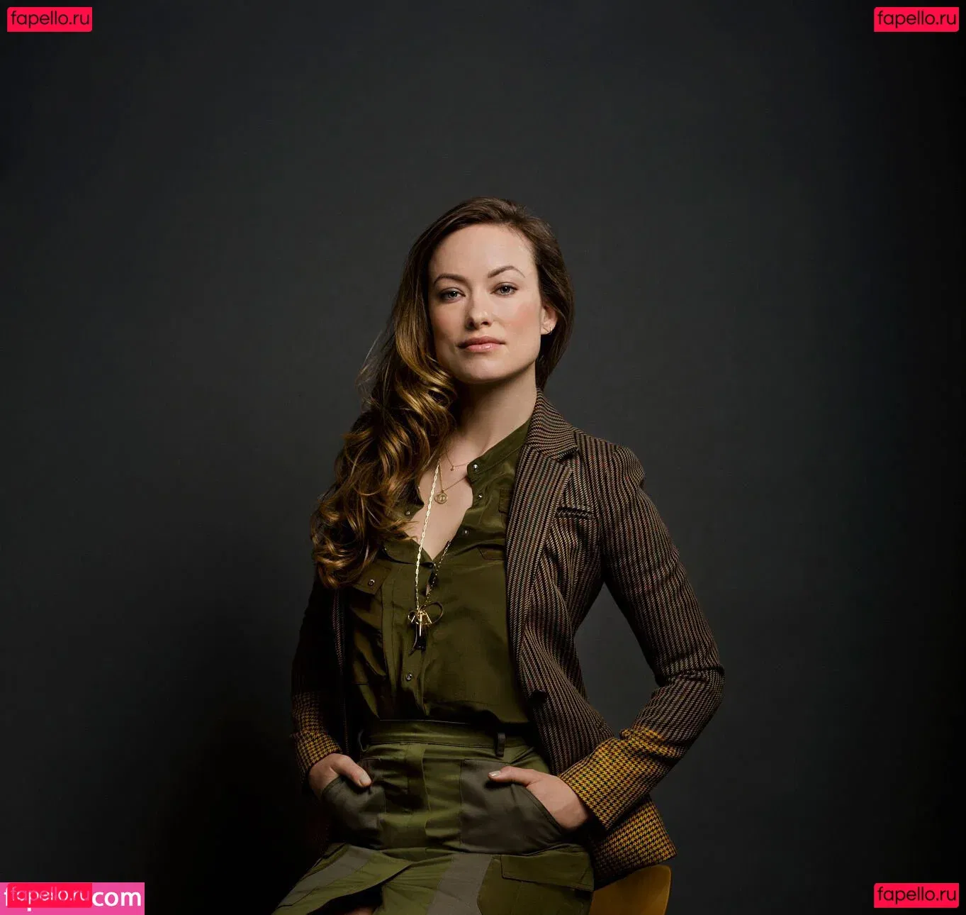 Olivia Wilde Onlyfans Photo Gallery 