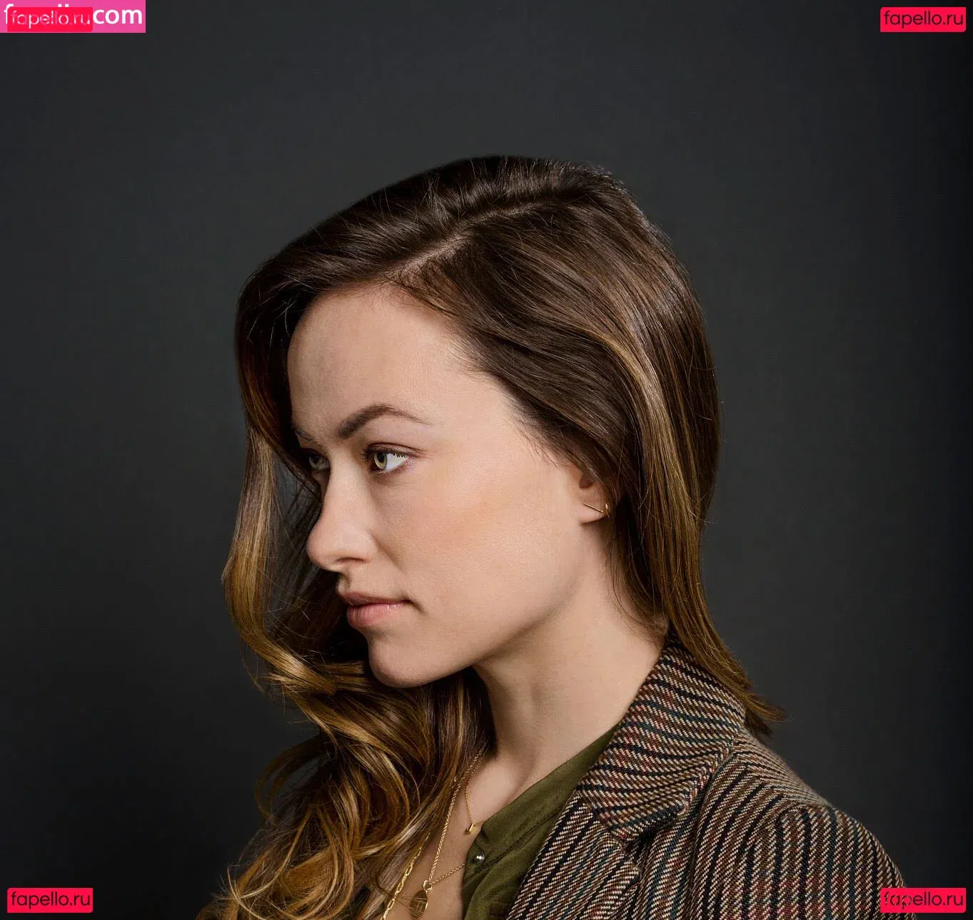 Olivia Wilde Onlyfans Photo Gallery 