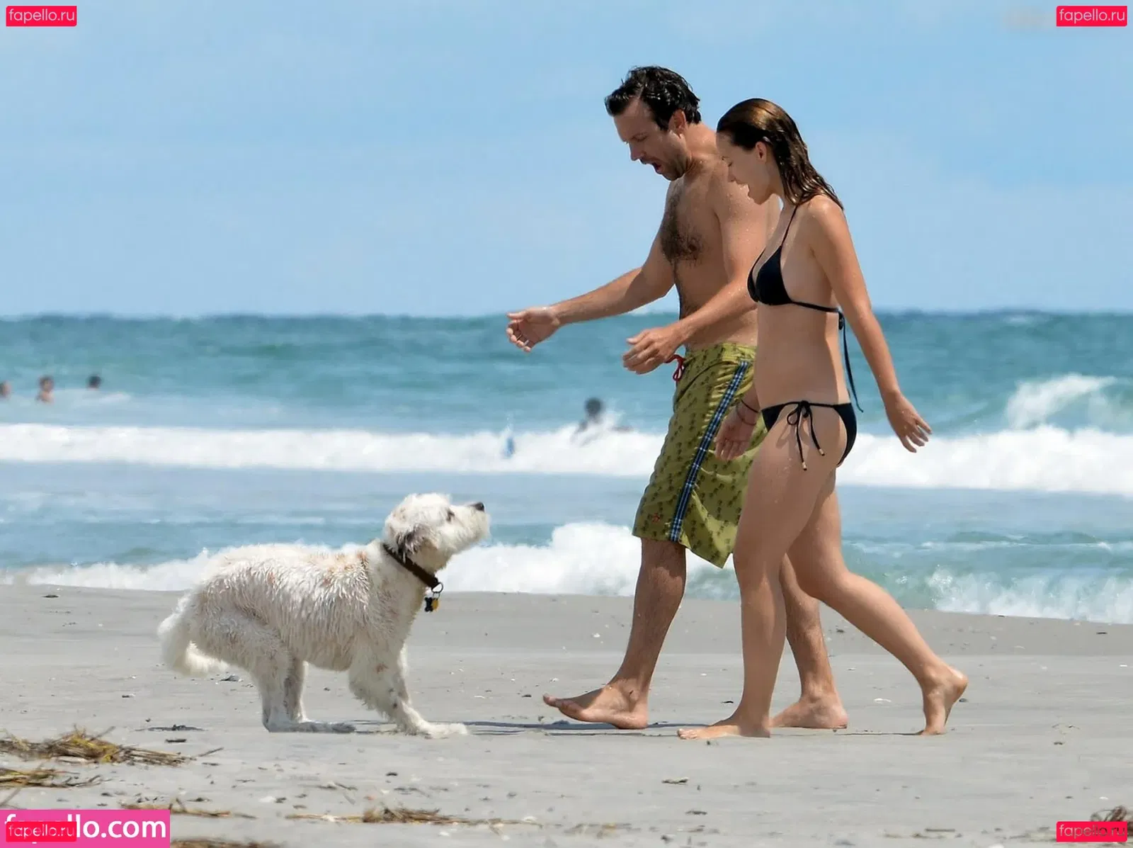 Olivia Wilde Onlyfans Photo Gallery 