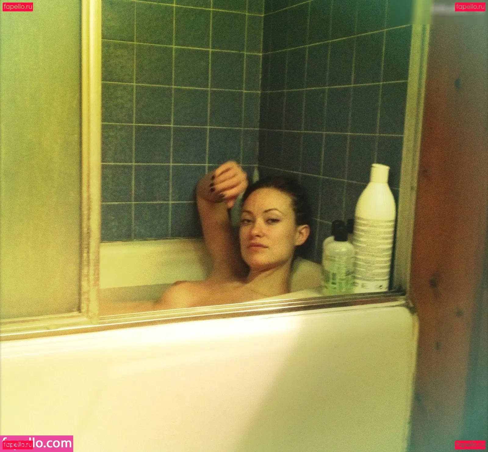 Olivia Wilde Onlyfans Photo Gallery 