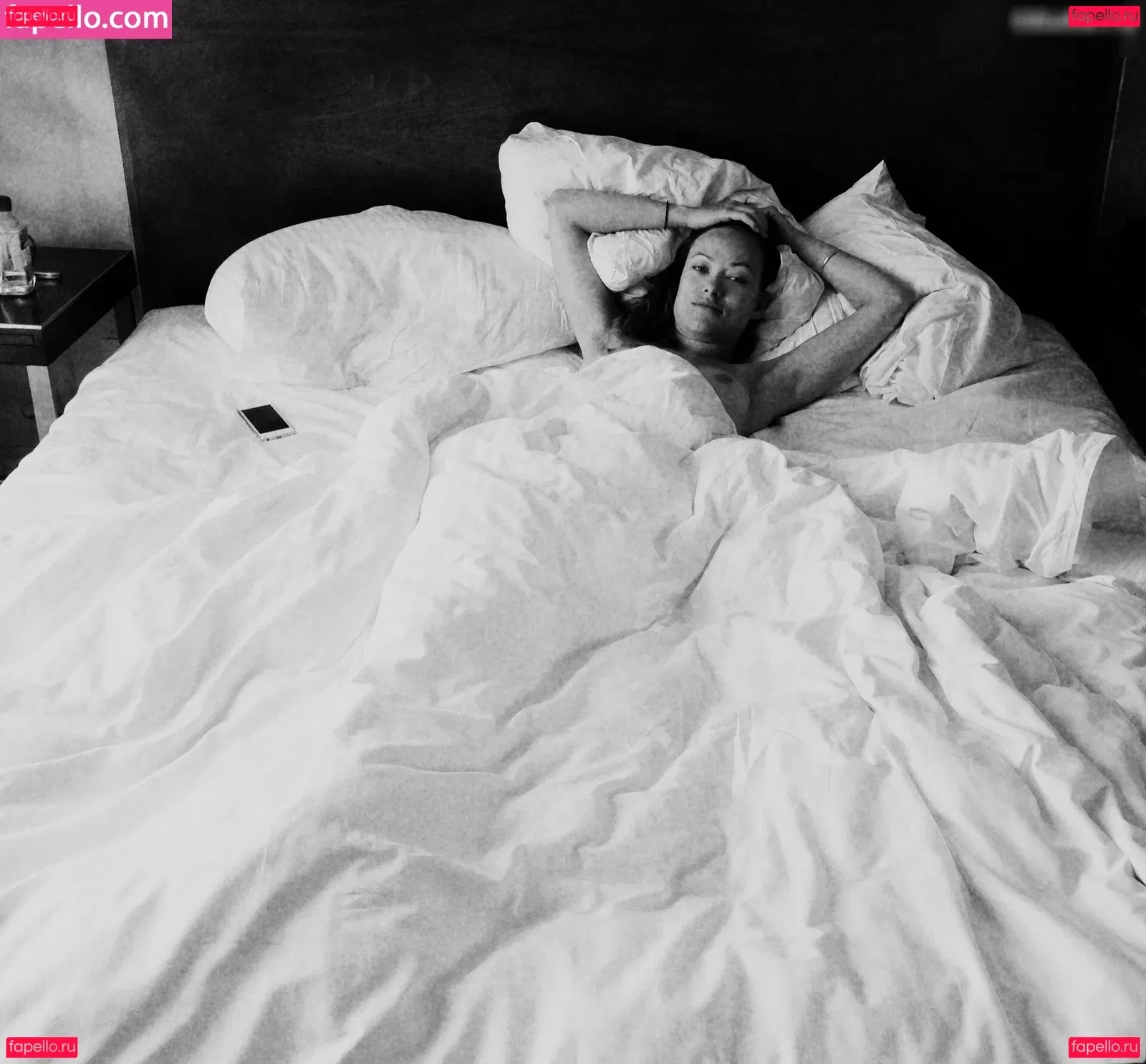 Olivia Wilde Onlyfans Photo Gallery 