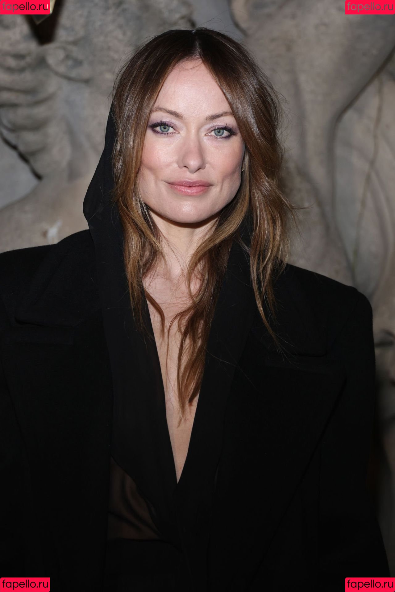 Olivia Wilde Onlyfans Photo Gallery 