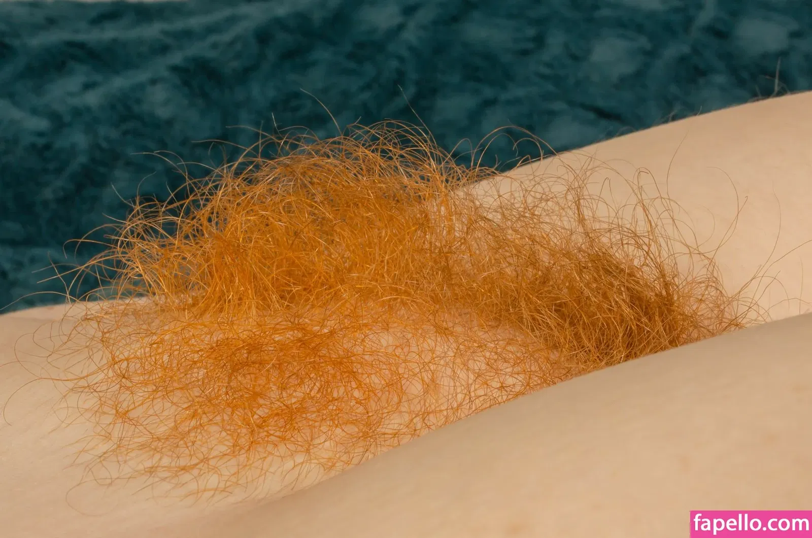 Hairy Women Onlyfans Photo Gallery 