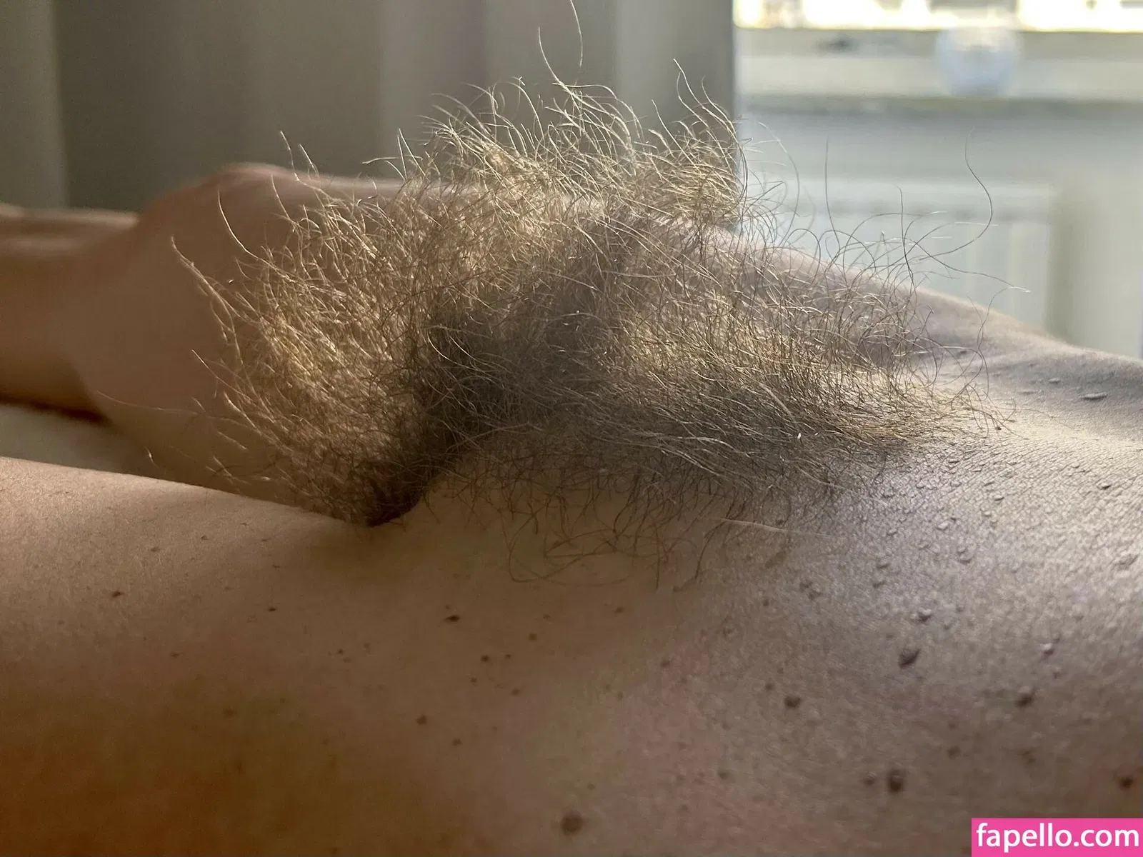 Hairy Women Onlyfans Photo Gallery 