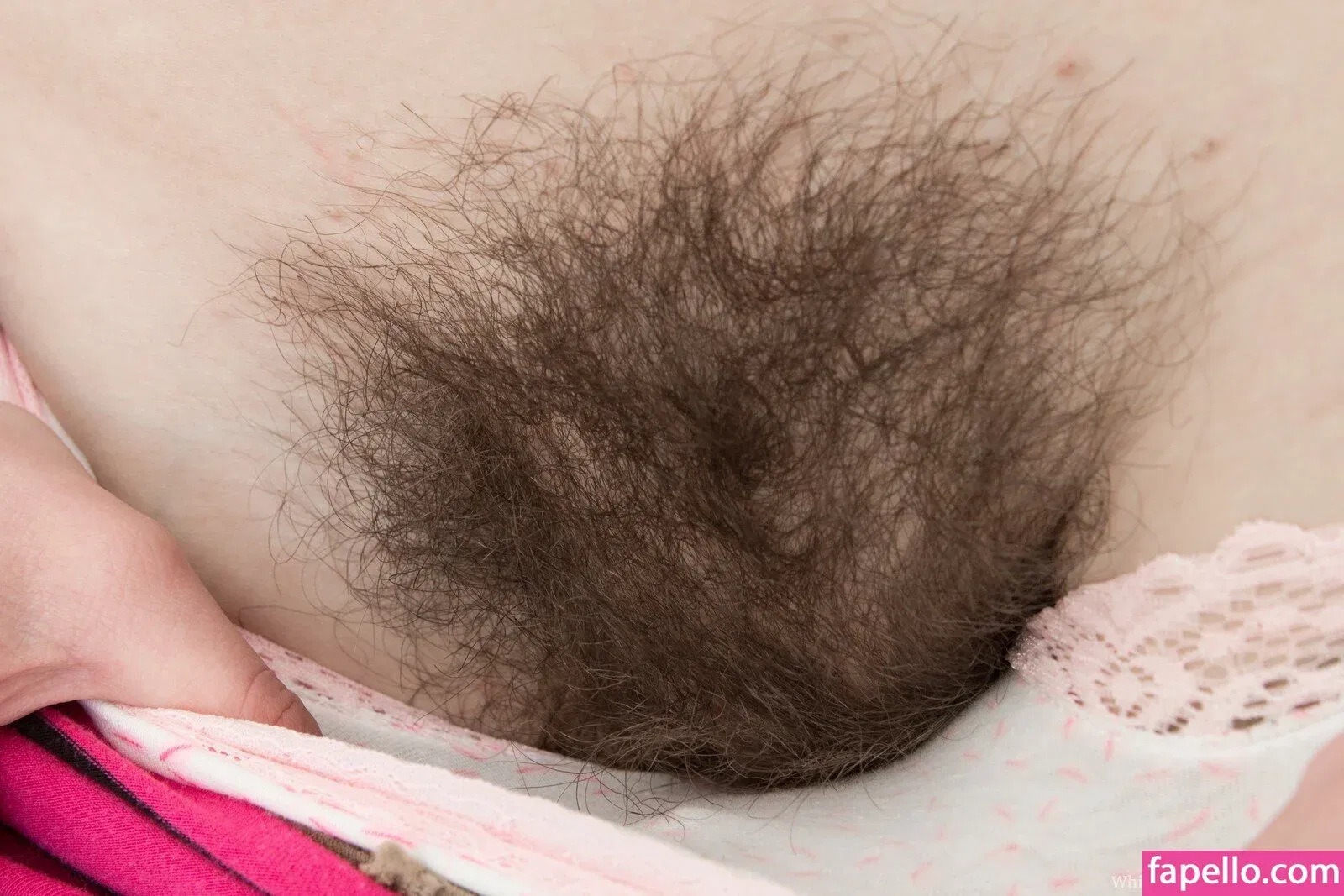 Hairy Women Onlyfans Photo Gallery 