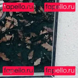 andrewad Onlyfans Photo Gallery 