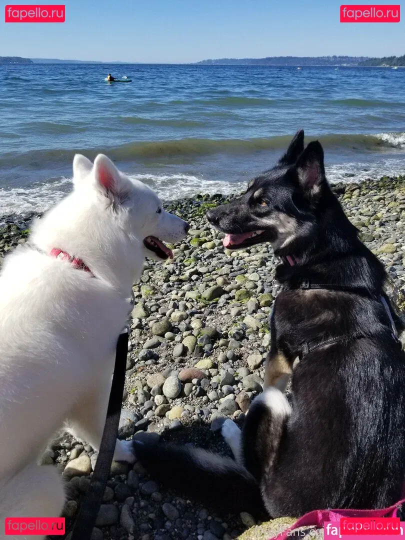 raina_traina Onlyfans Photo Gallery 