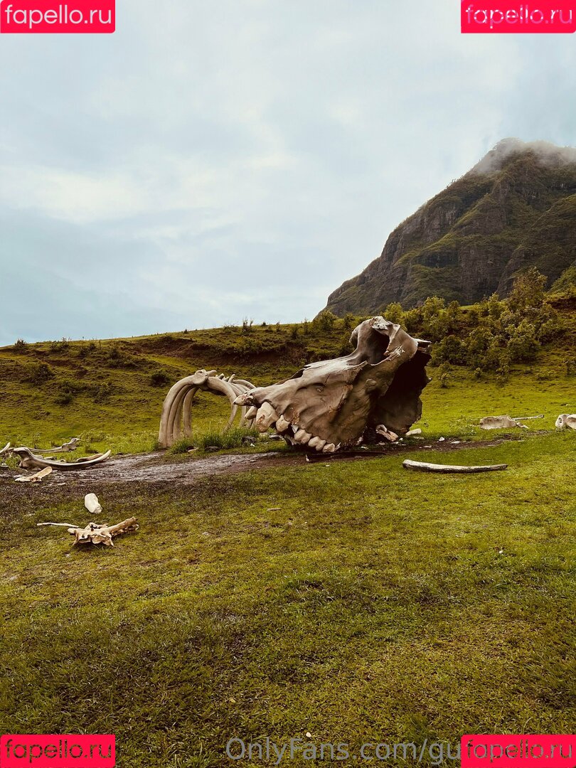 gulpfiction Onlyfans Photo Gallery 