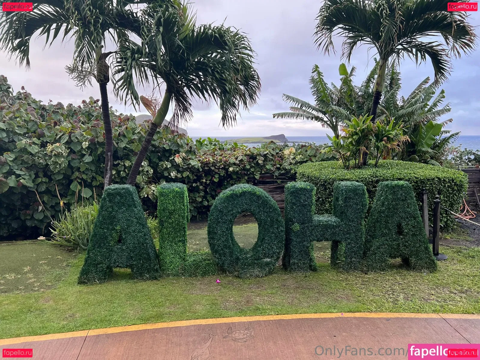 gulpfiction Onlyfans Photo Gallery 