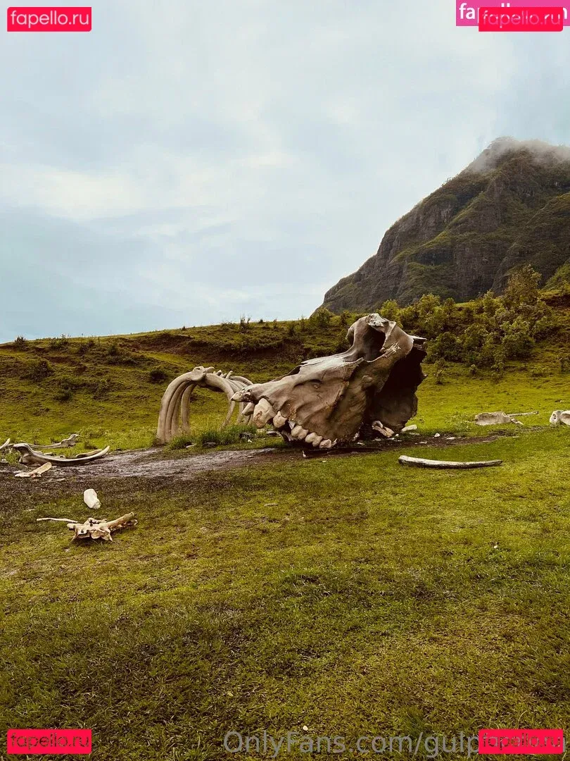 gulpfiction Onlyfans Photo Gallery 