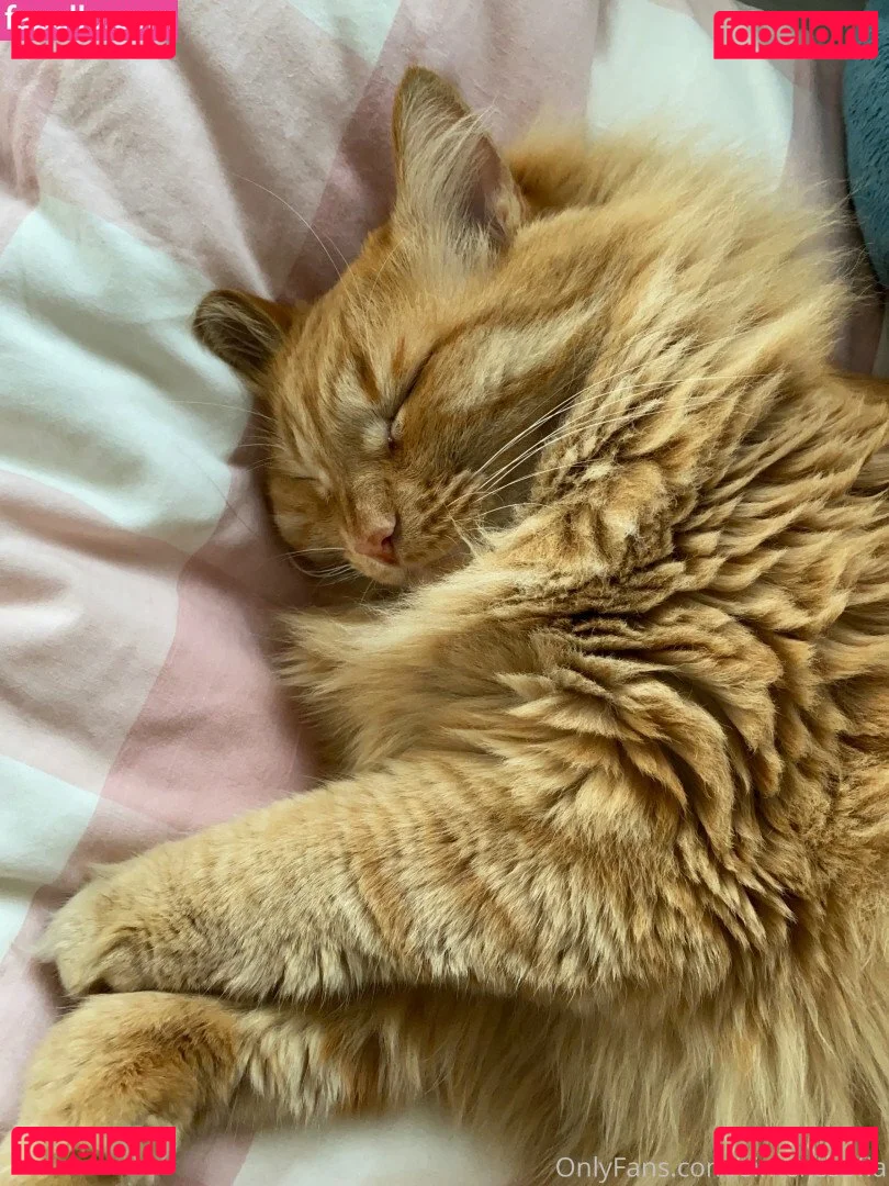 SimensSofia Onlyfans Photo Gallery 