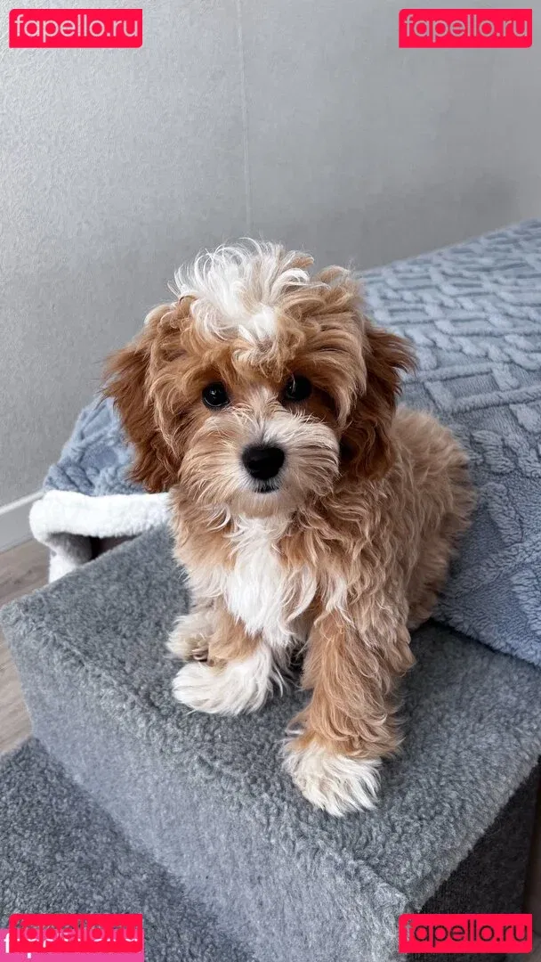 SimensSofia Onlyfans Photo Gallery 