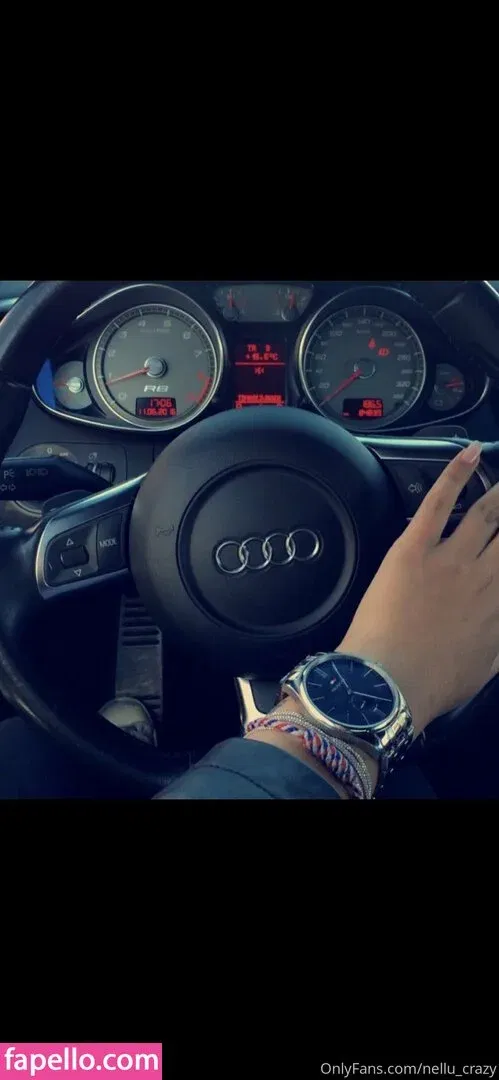 nellu_crazy Onlyfans Photo Gallery 