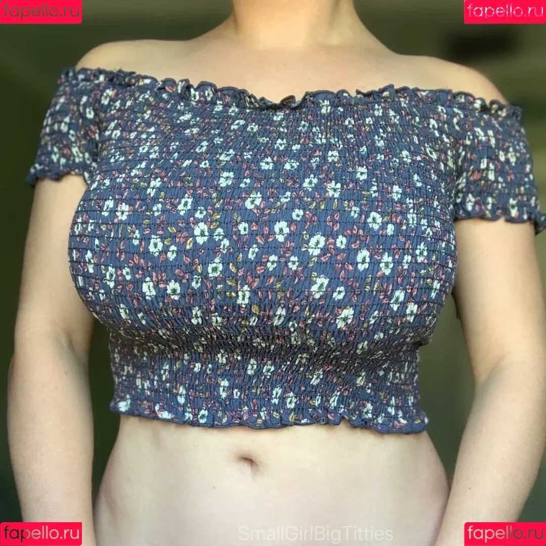 Smallgirlbigtitties Onlyfans Photo Gallery 