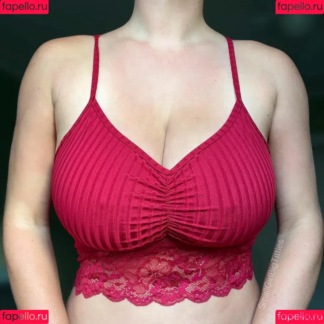 Smallgirlbigtitties Onlyfans Photo Gallery 