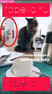 Paloma Tocci Onlyfans Photo Gallery 