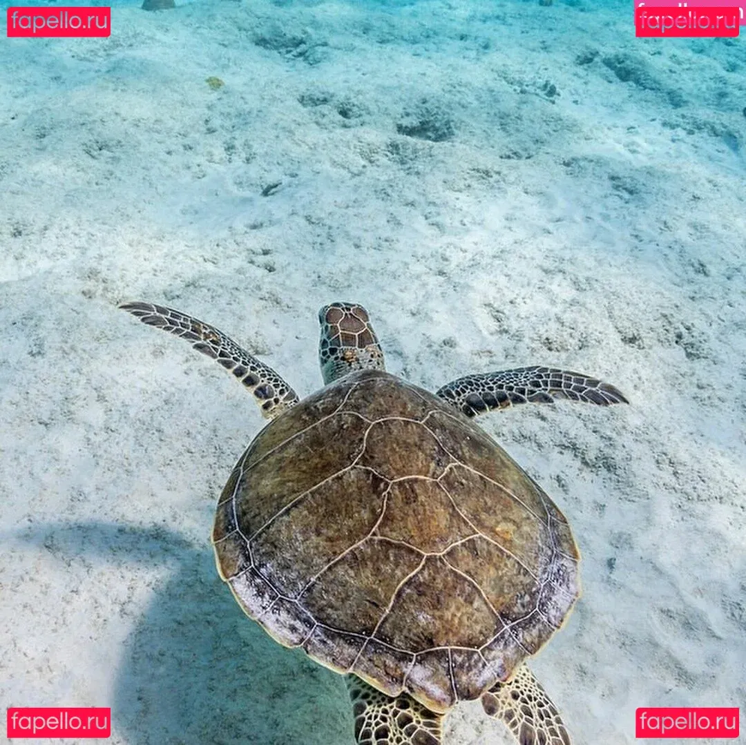 Helia Soltani Onlyfans Photo Gallery 