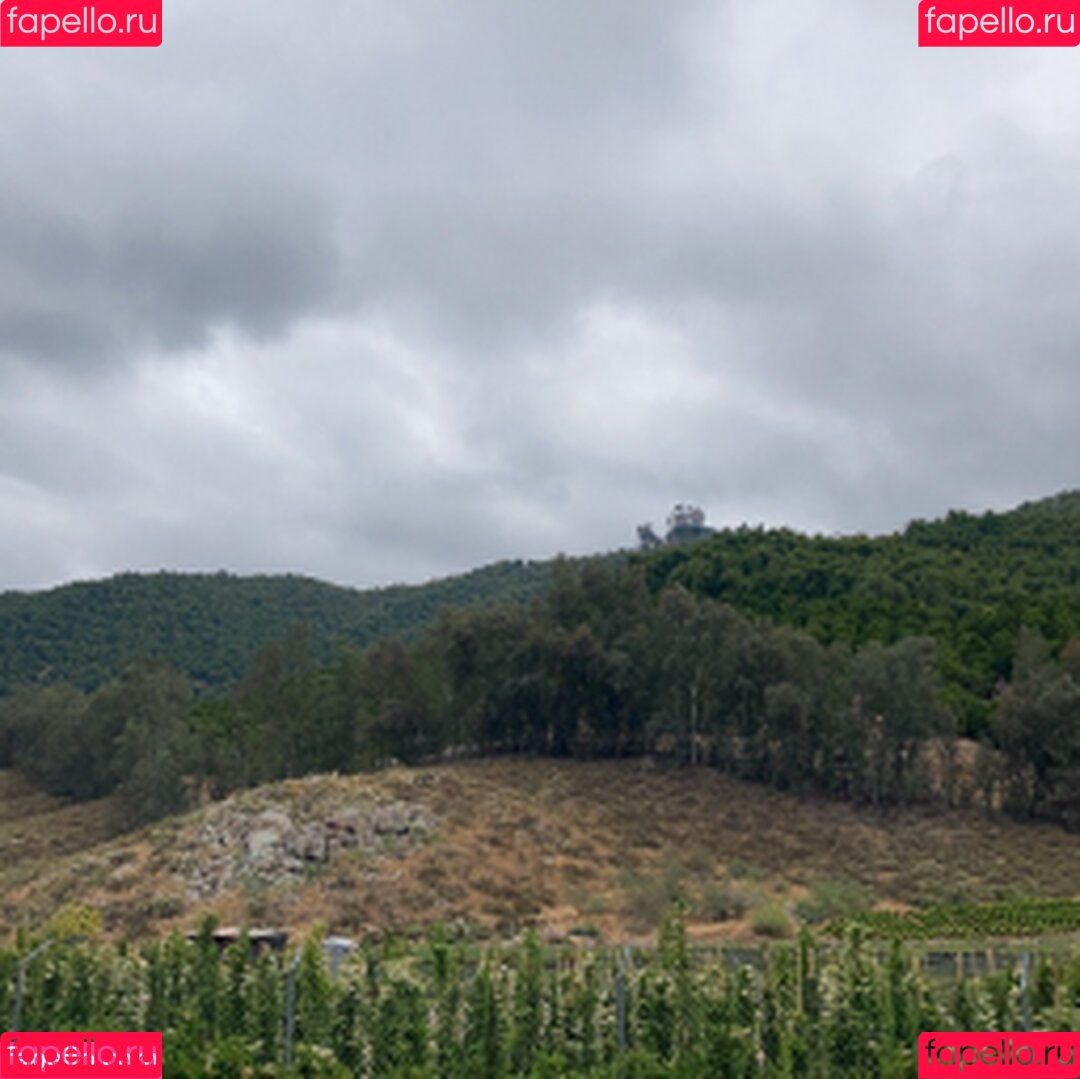 Meet Madden Onlyfans Photo Gallery 