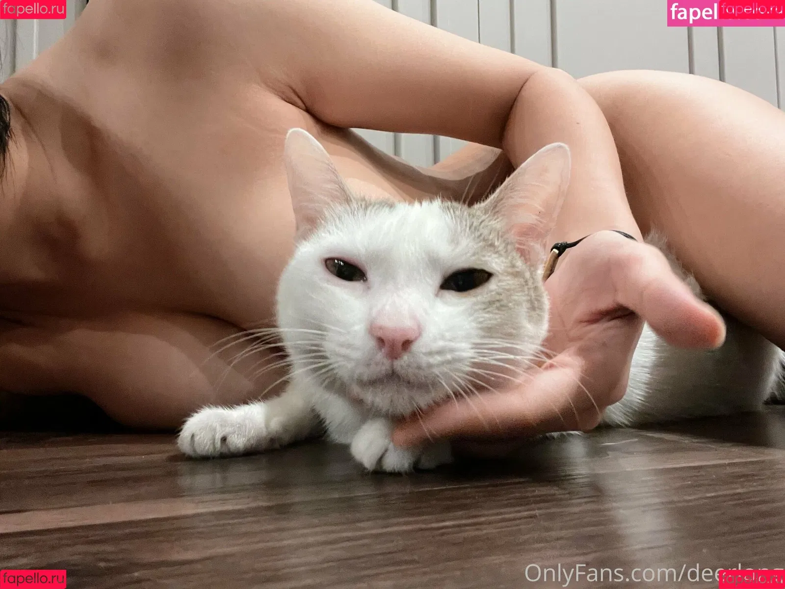 Deerlong Onlyfans Photo Gallery 