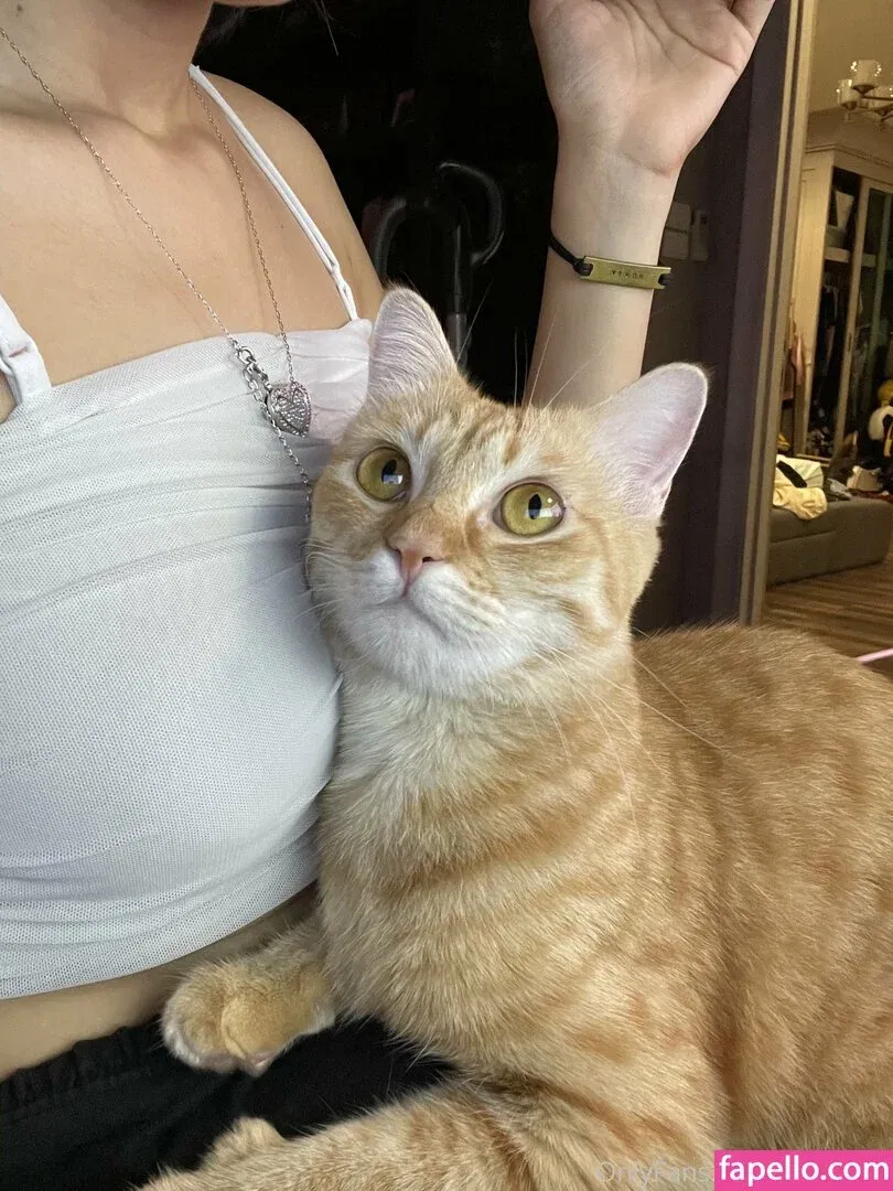 Deerlong Onlyfans Photo Gallery 