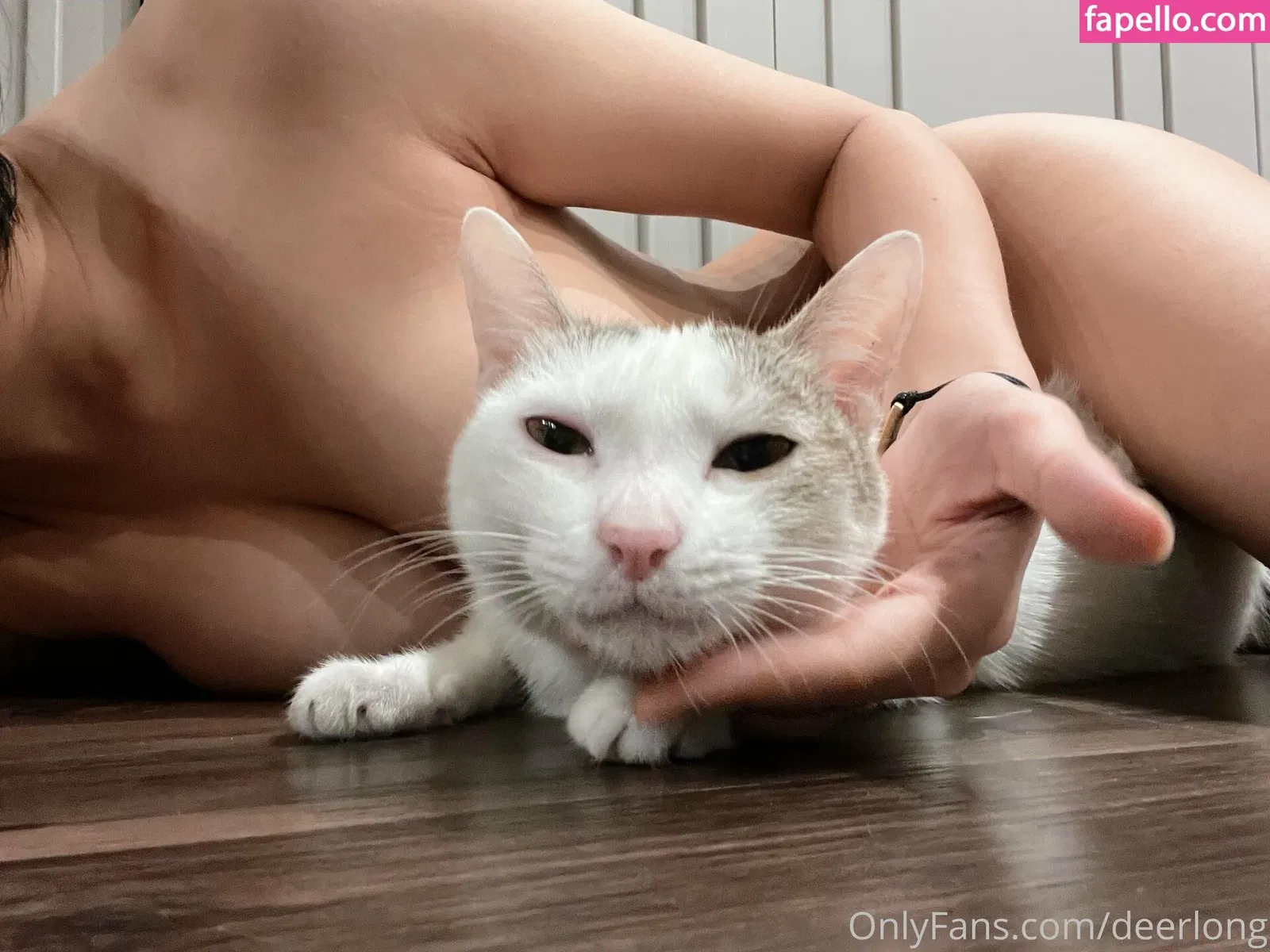 Deerlong Onlyfans Photo Gallery 