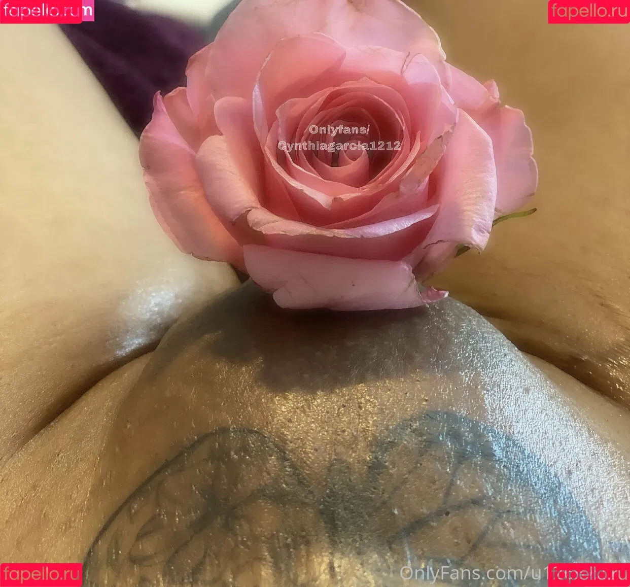 cynthiagarcia1212 Onlyfans Photo Gallery 