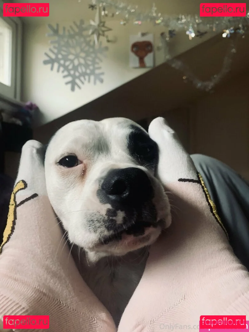 elizabethreed Onlyfans Photo Gallery 