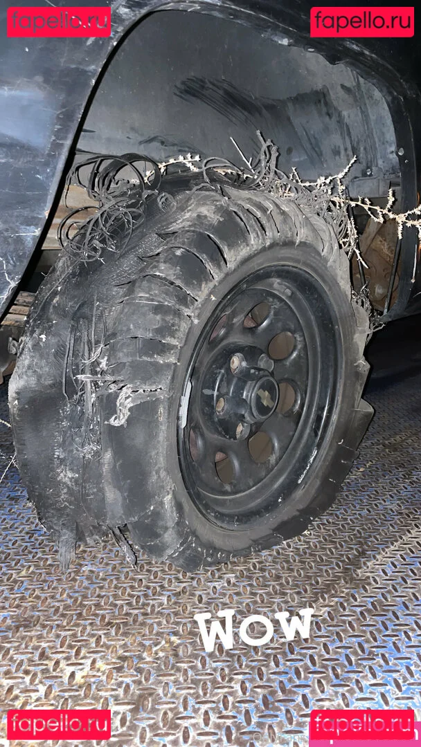 elizabethreed Onlyfans Photo Gallery 