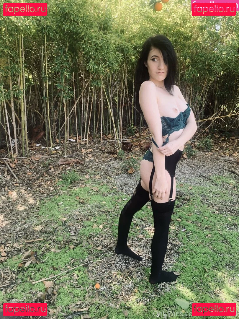 elizabethreed Onlyfans Photo Gallery 