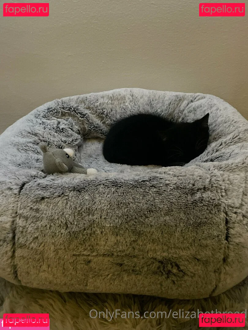 elizabethreed Onlyfans Photo Gallery 