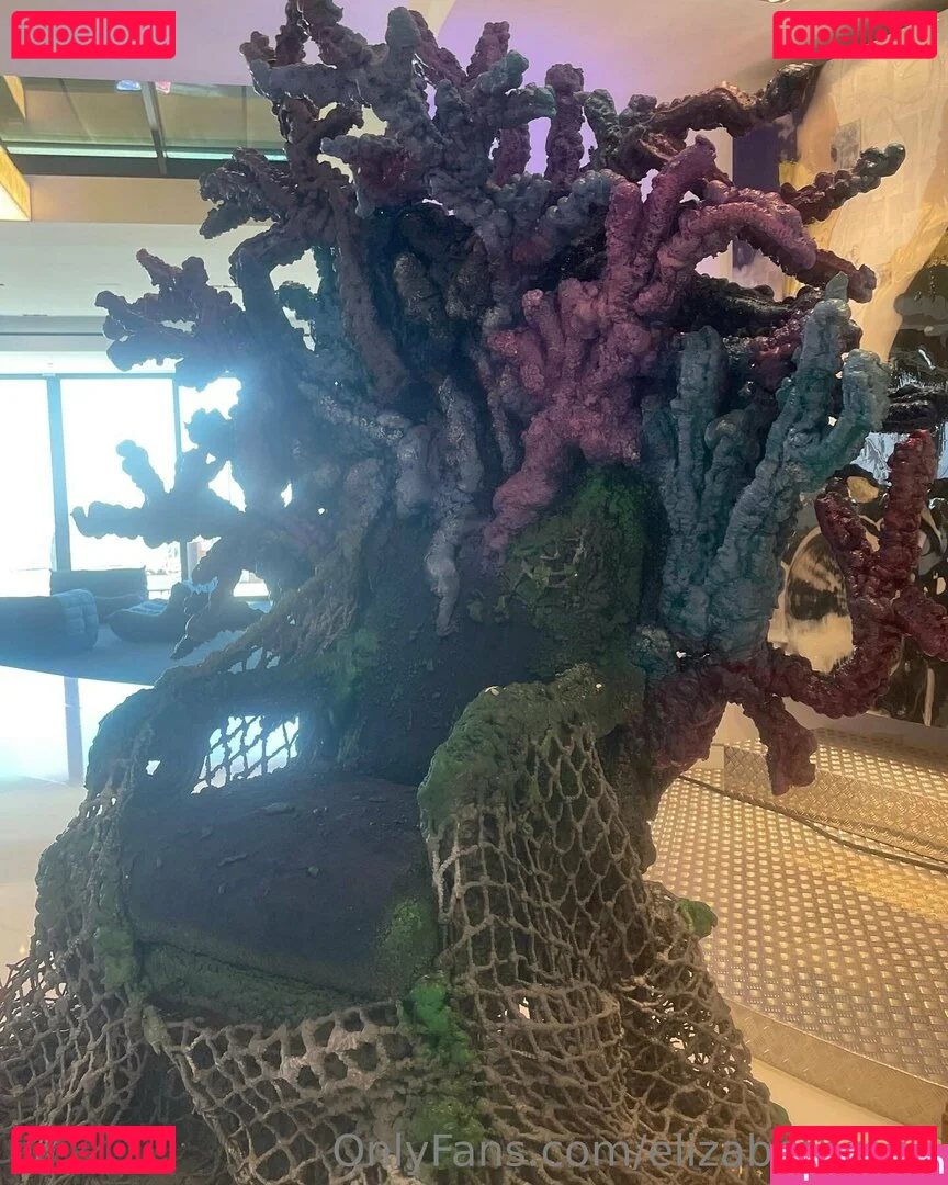 elizabethreed Onlyfans Photo Gallery 