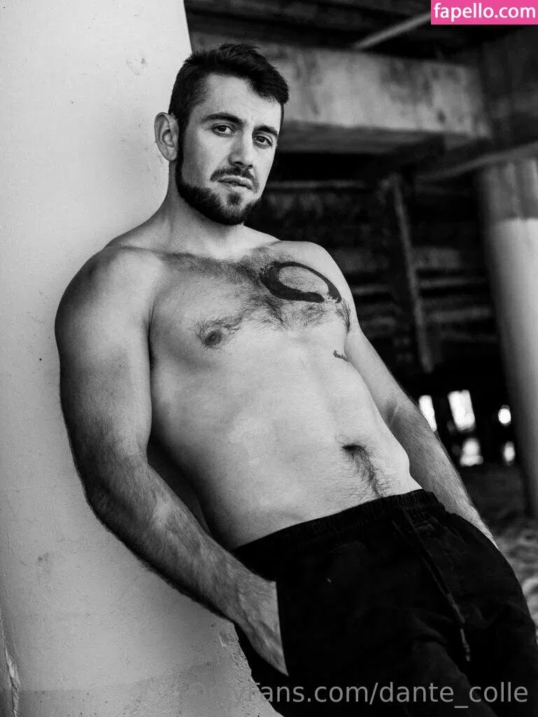 dante_colle Onlyfans Photo Gallery 