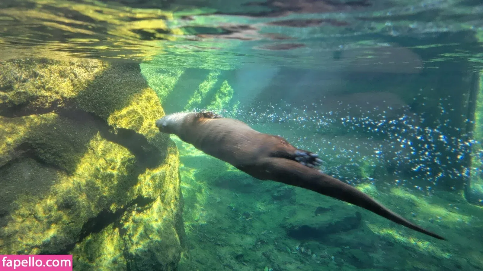 foxyopheliaa Onlyfans Photo Gallery 