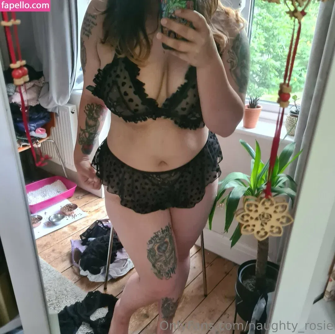 naughty_rosie Onlyfans Photo Gallery 