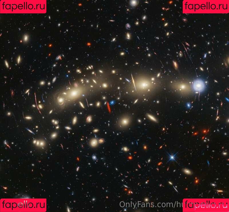 HoneyThorne Onlyfans Photo Gallery 