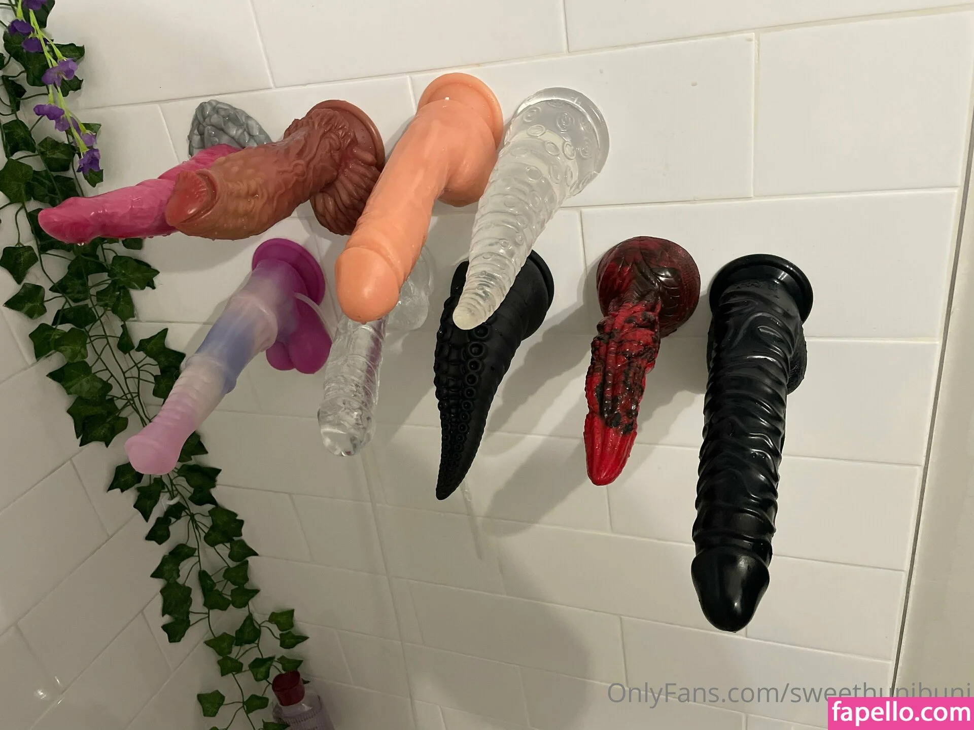 xo_lilhuni_xo Onlyfans Photo Gallery 