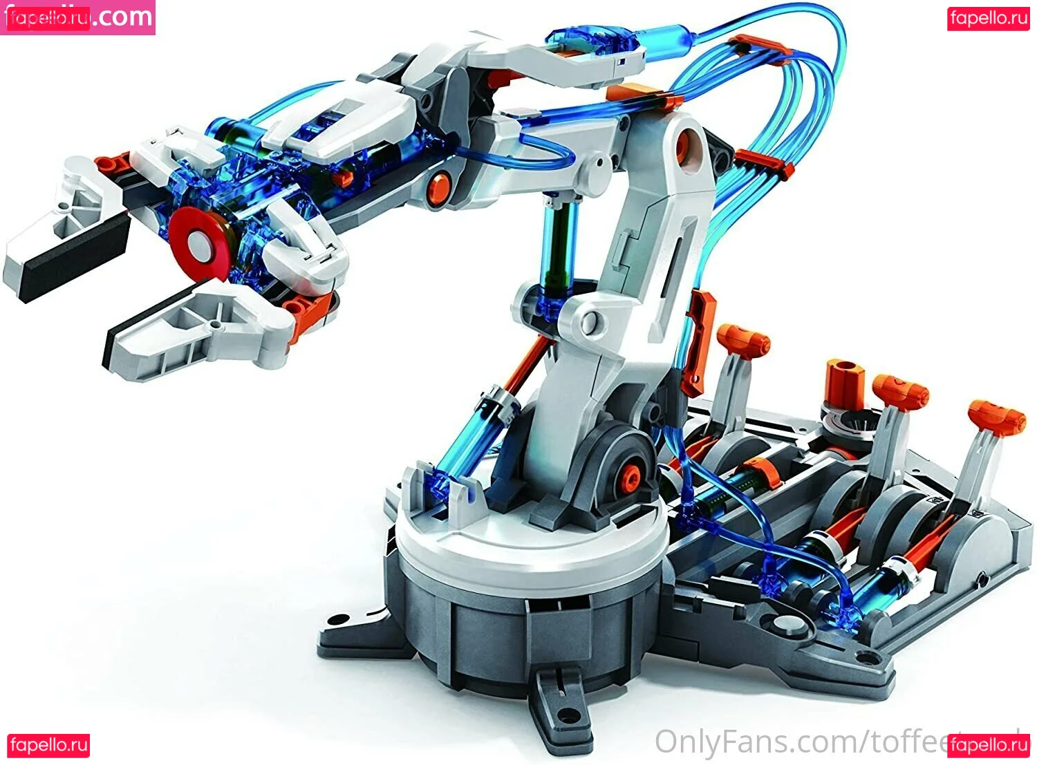 toffeetomb Onlyfans Photo Gallery 