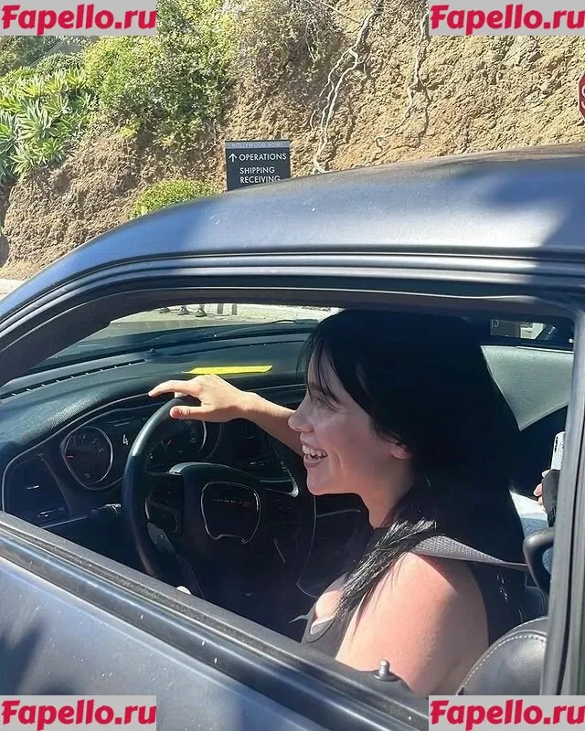 Billie Eilish Onlyfans Photo Gallery 