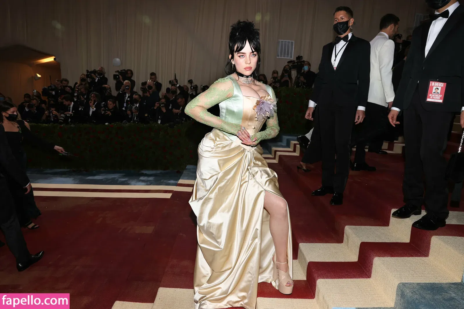 Billie Eilish Onlyfans Photo Gallery 