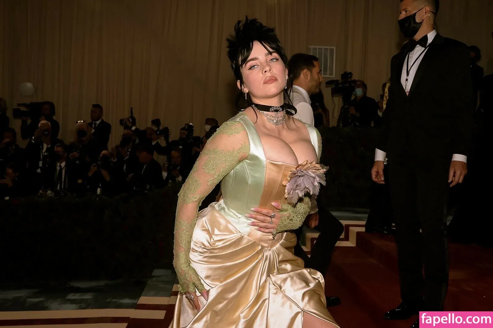 Billie Eilish Onlyfans Photo Gallery 